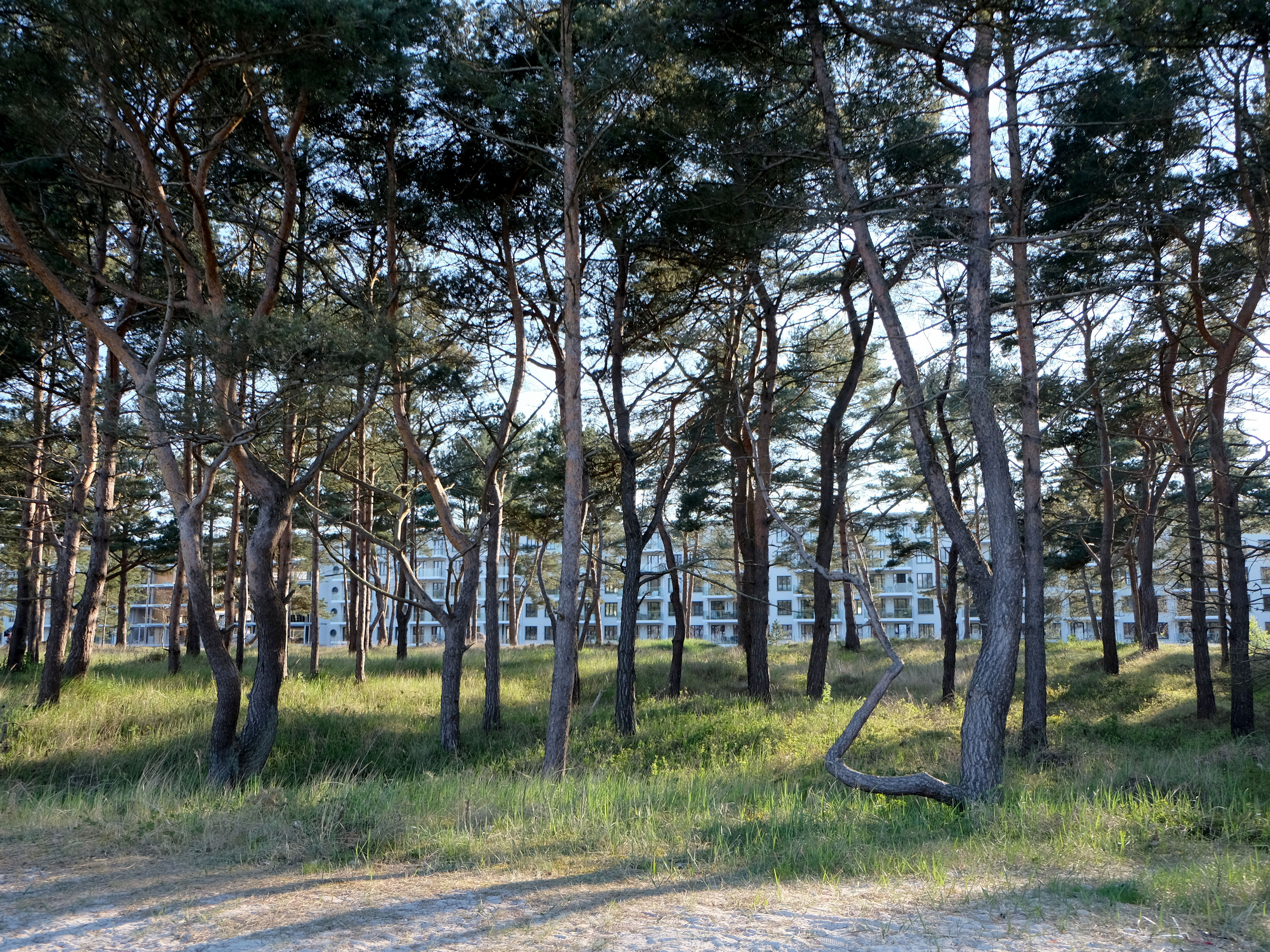 Blick vom Strand auf Wohnblock