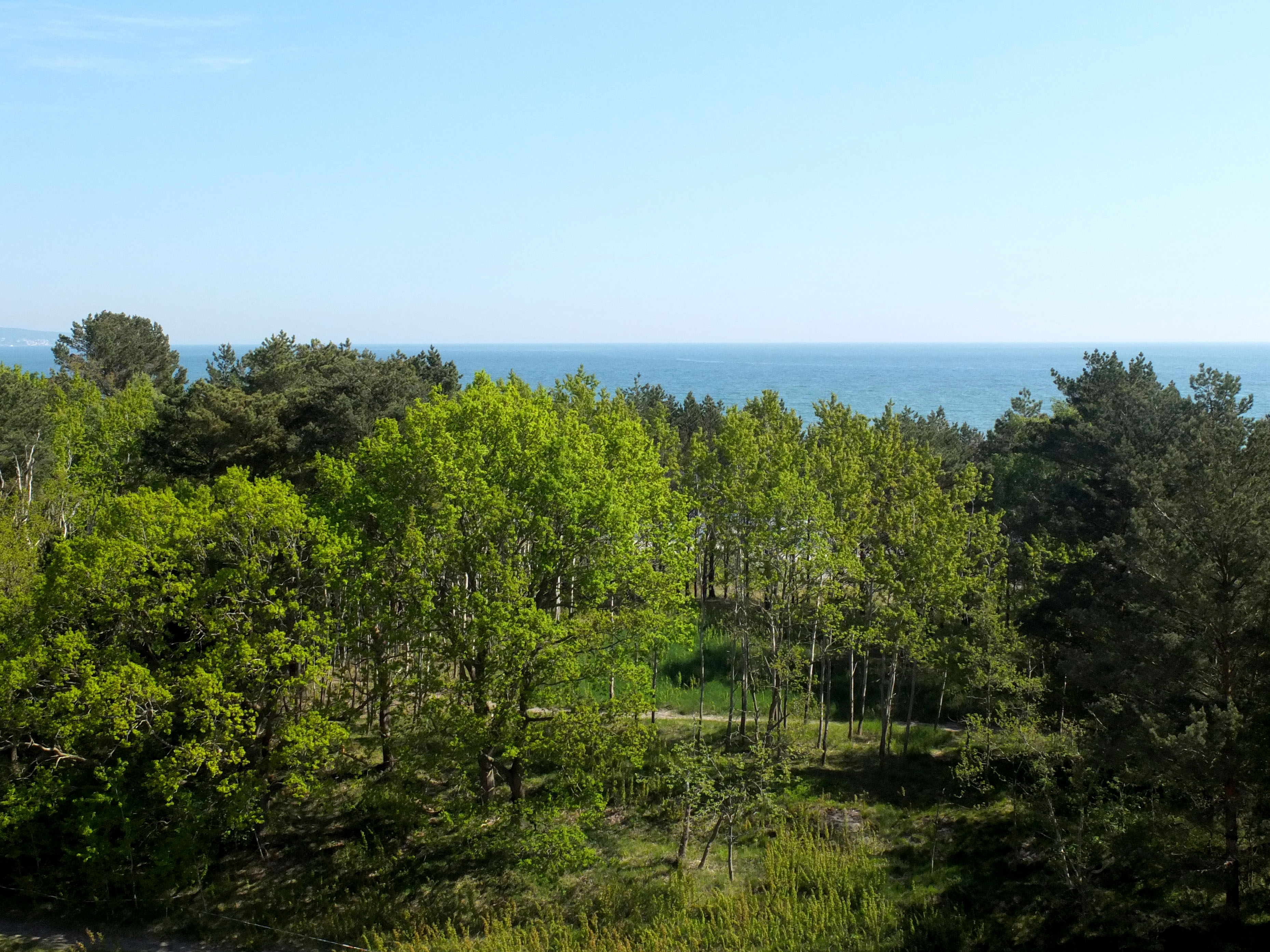 Blick vom Balkon im Frühling