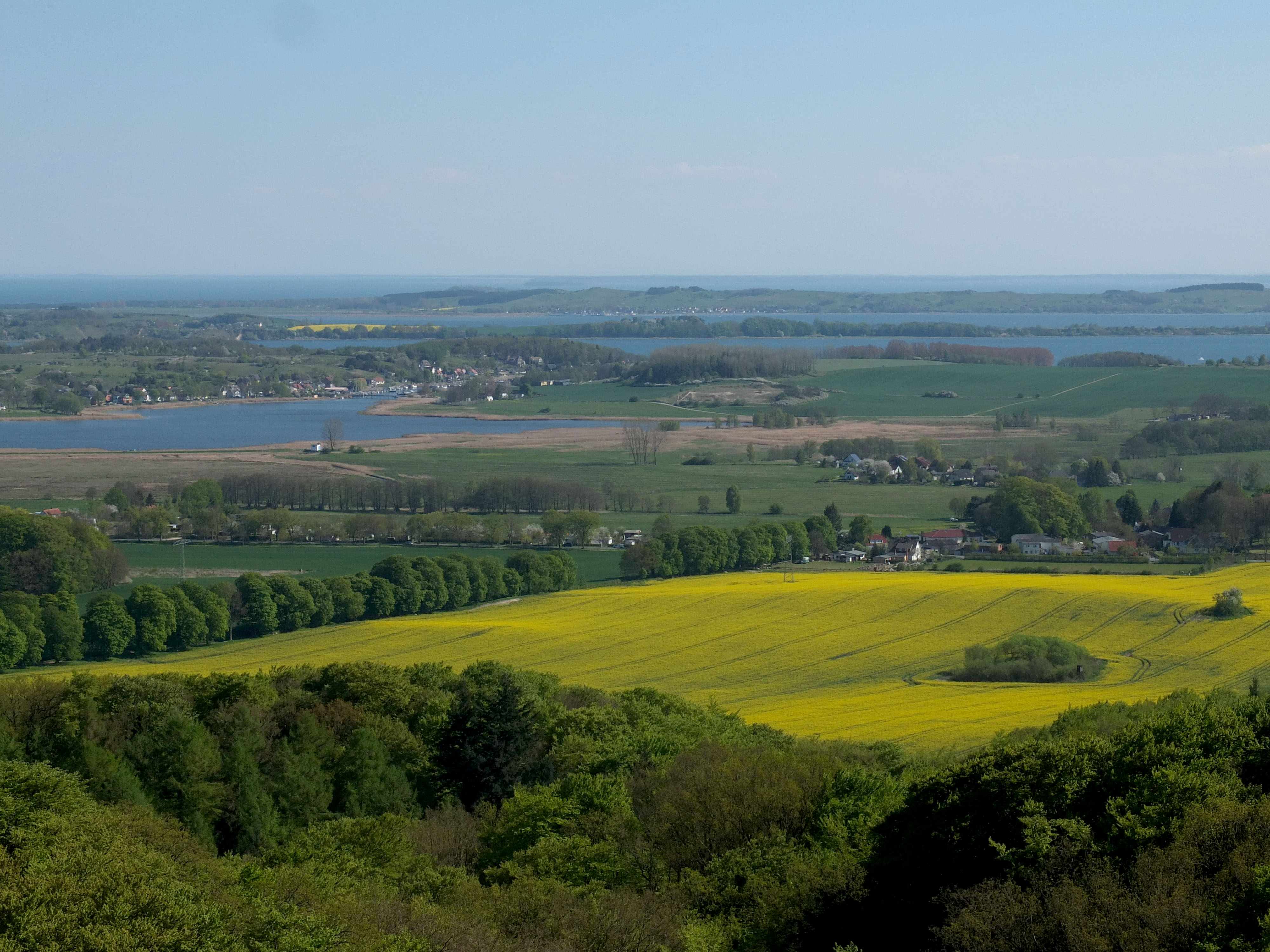 Blick vom Baumwipfelpfad