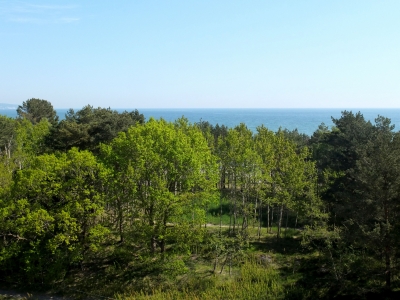 Blick vom Balkon im Frühling