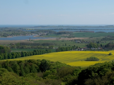 Blick vom Baumwipfelpfad