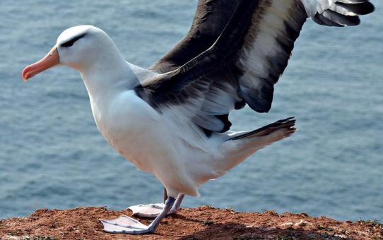 Urlaub auf Rügen?