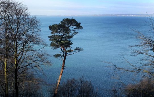 Winterlicher Spaziergang durch die Granitz nach Sellin
